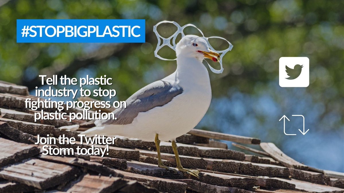 David Suzuki FDN (@davidsuzukifdn) on Twitter photo JOIN THE #TWITTERSTORM ⚡! Canada's biggest plastics companies are suing the government to try and stop critical laws that would help end #plasticpollution 🧴. Today is their 1st day in court.
Join us NOW! Help #StopBigPlastic! <a href="/Dow_Canada/">Dow Canada</a> <a href="/ImperialOil/">Imperial Oil</a> <a href="/NOVAChemicals/">NOVA Chemicals</a> JOIN THE #TWITTERSTORM ⚡! Canada's biggest plastics companies are suing the government to try and stop critical laws that would help end #plasticpollution 🧴. Today is their 1st day in court.
Join us NOW! Help #StopBigPlastic! <a href="/Dow_Canada/">Dow Canada</a> <a href="/ImperialOil/">Imperial Oil</a> <a href="/NOVAChemicals/">NOVA Chemicals</a>