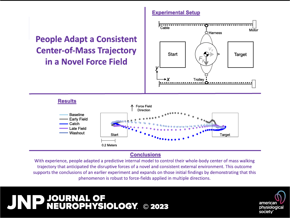 JNeurophysiol's tweet photo. People adapt a consistent center-of-mass trajectory in a novel force field (Mary A. Bucklin et al.)
🖱https://t.co/JRHqE5cfMg
#MotorControl #InternalModel #Gait #Locomotion #Adaptation @NUFeinbergMed https://t.co/OpSBP7TNM1