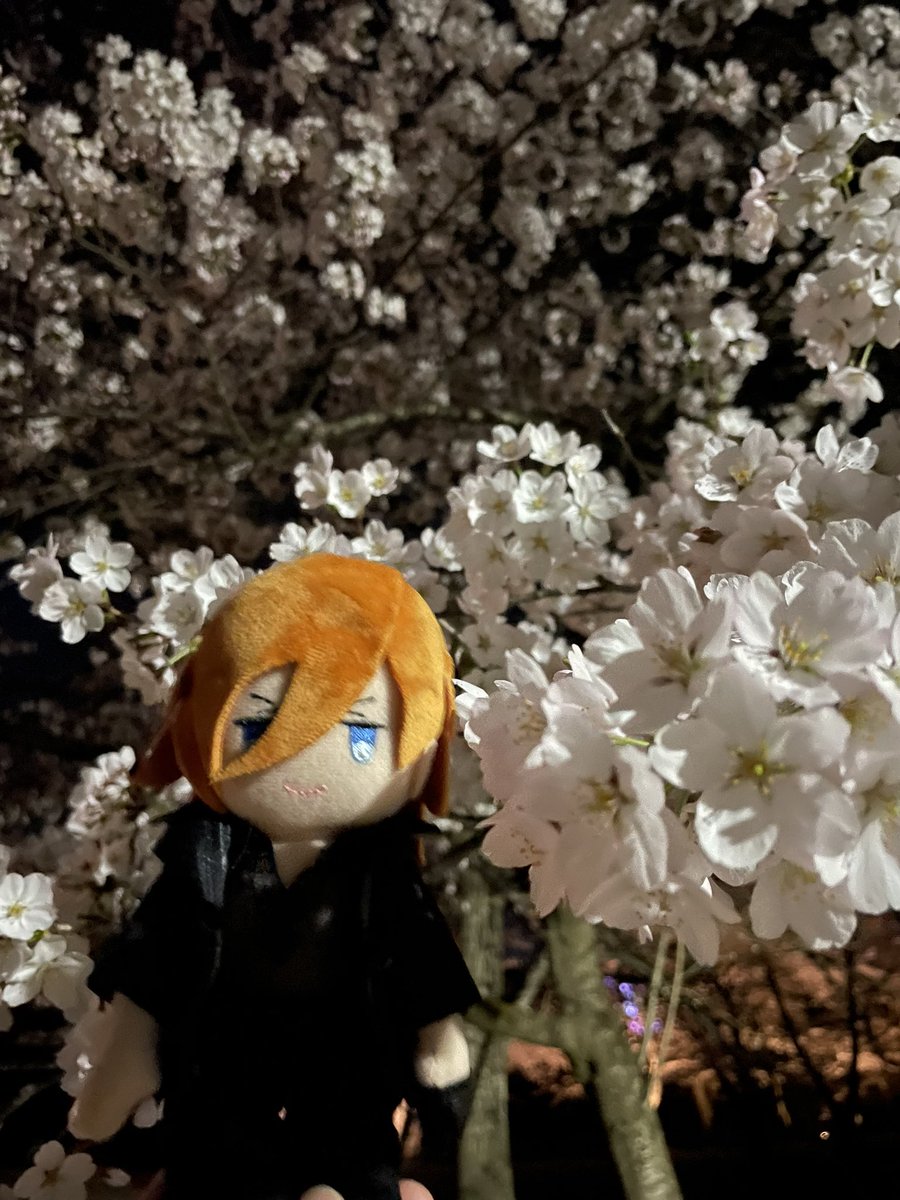 nako8630's tweet photo. #うたプリ好きな人と繋がりたい
ぬすやキャットとお出かけしたり、イメージネイルチップ作ったりしてます。
王国で落ちてスタツアでさらに沼りました。仲良くしてくださる方いると嬉しいです！
スタリ箱推しの神宮寺レン好きです。 https://t.co/uiv7rCRD7p
