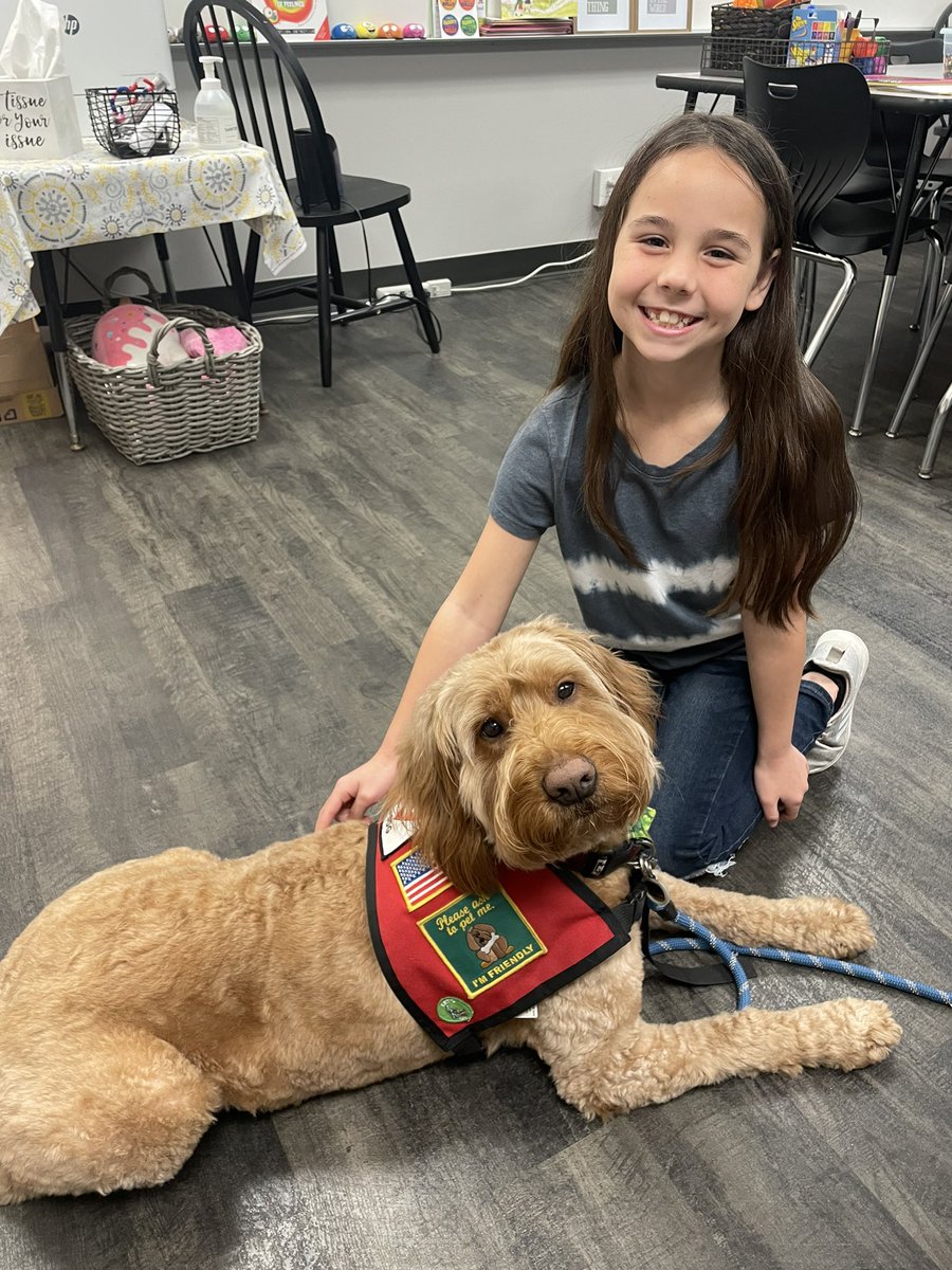 George the Comfort Dog tweet media