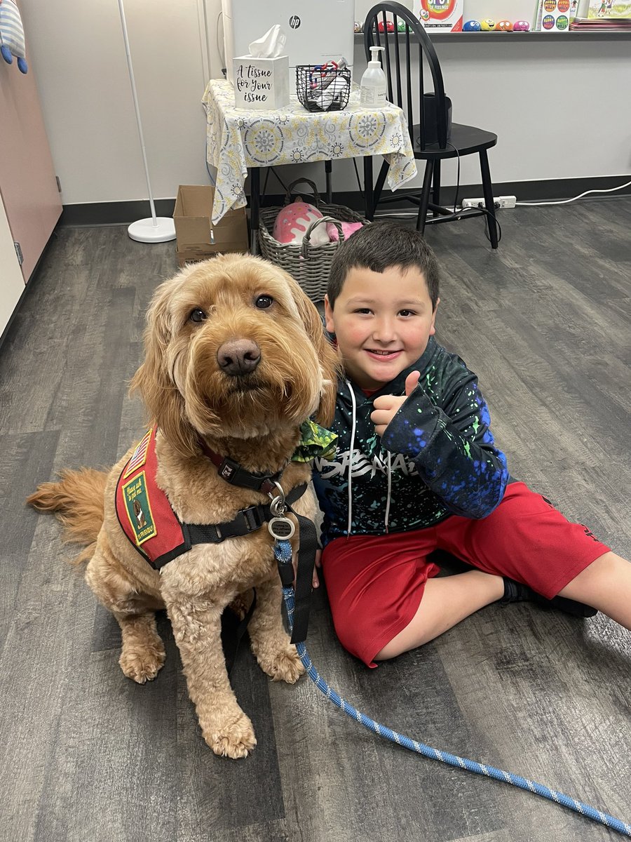 George the Comfort Dog tweet media