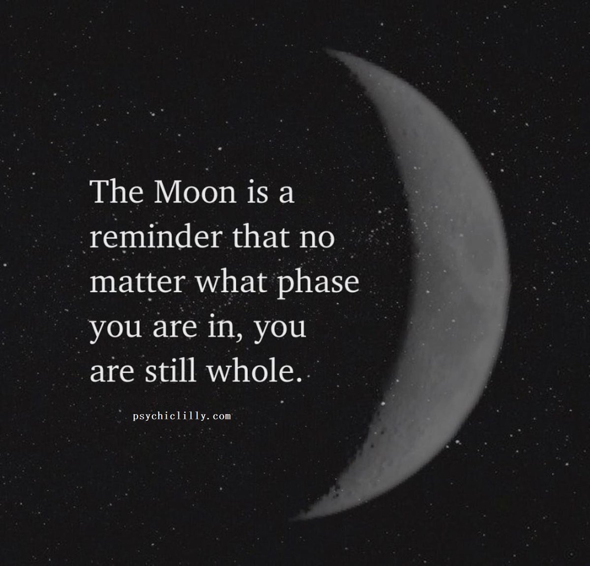 mypsychiclilly's tweet image. 🌕 🌖 🌘 🌗 🌔 🌙 🌒 🌑

#fullmoon #fullmoonvibes #fullmooninvirgo #moonphases #moonphase #hightide #moons #psychiclilly #astrology #astrologyposts #tuesdayvibes #tuesdaymood #quotestoremember #quotesdaily #quotestoliveby #lifelessons #lifelessons #wordsofwisdom #wordstoliveby