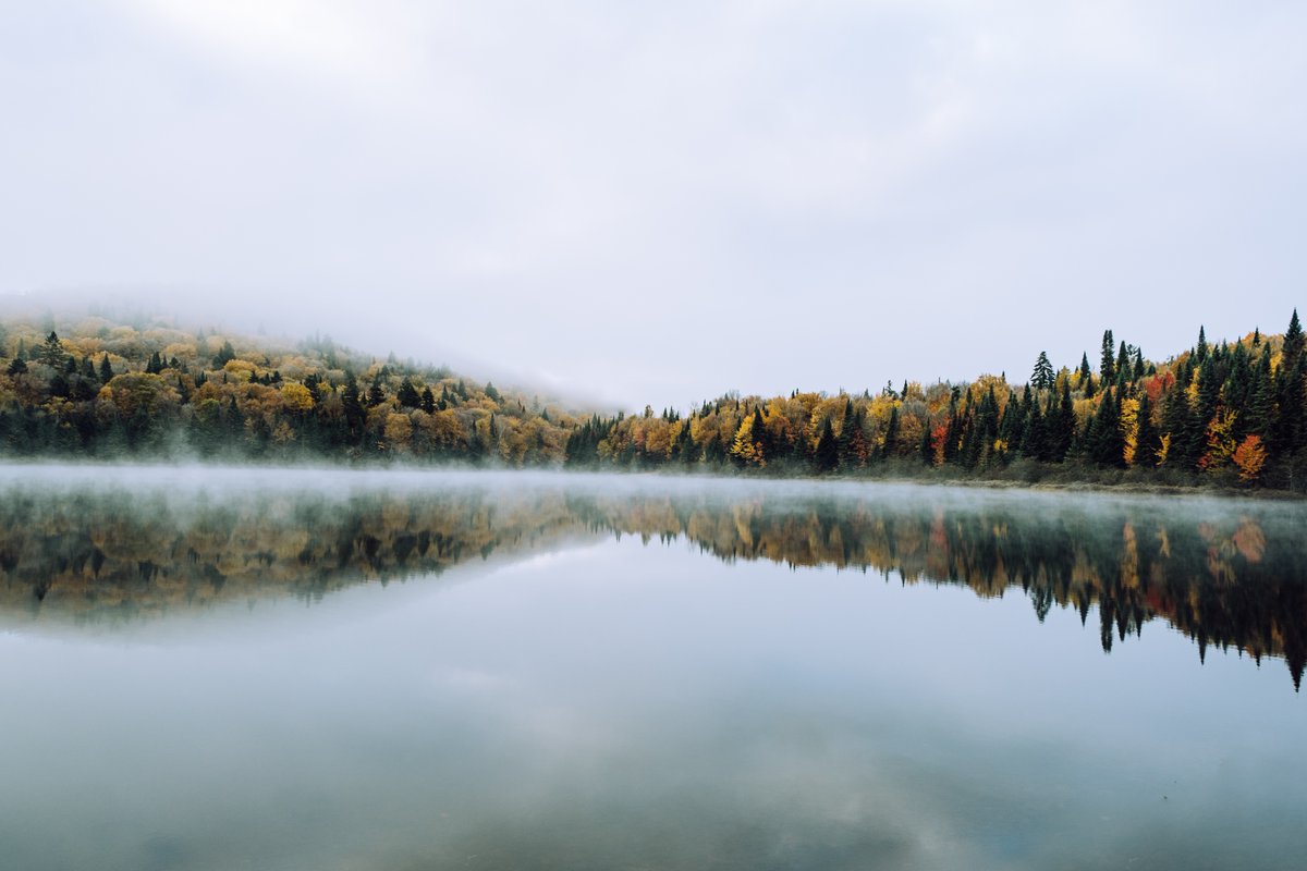 SPretelli's tweet image. #Quebec , #Canada #autumnfall #photography