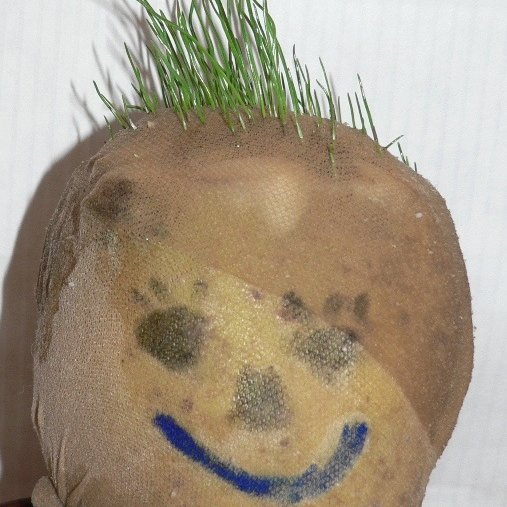 Download the free Musical Minis Spring Activity Pack  Click on this link and enter your details to instantly receive the free pack. musicalminis.co.uk/2023/03/downlo…