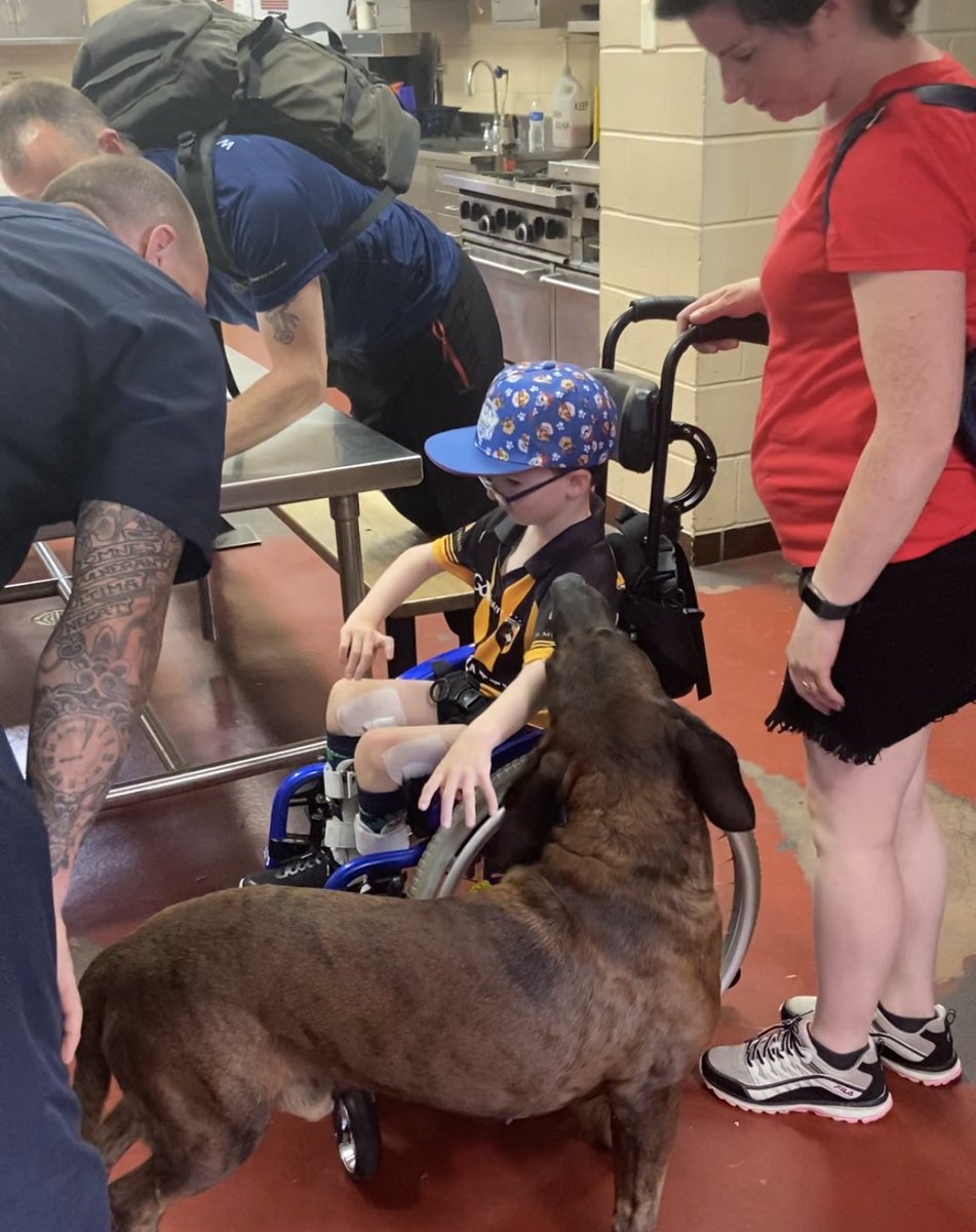 andybankertv's tweet photo. You needed to know more abt @STLFireDept dog, #Balko and how/why he died in the line of duty at troubled former FamousBarr bldg; more abt how he lived: “just one of the guys” — story only on @Fox2Now
STLFD won’t be the same
https://t.co/de5taHSgEx https://t.co/M8feRVE5zn