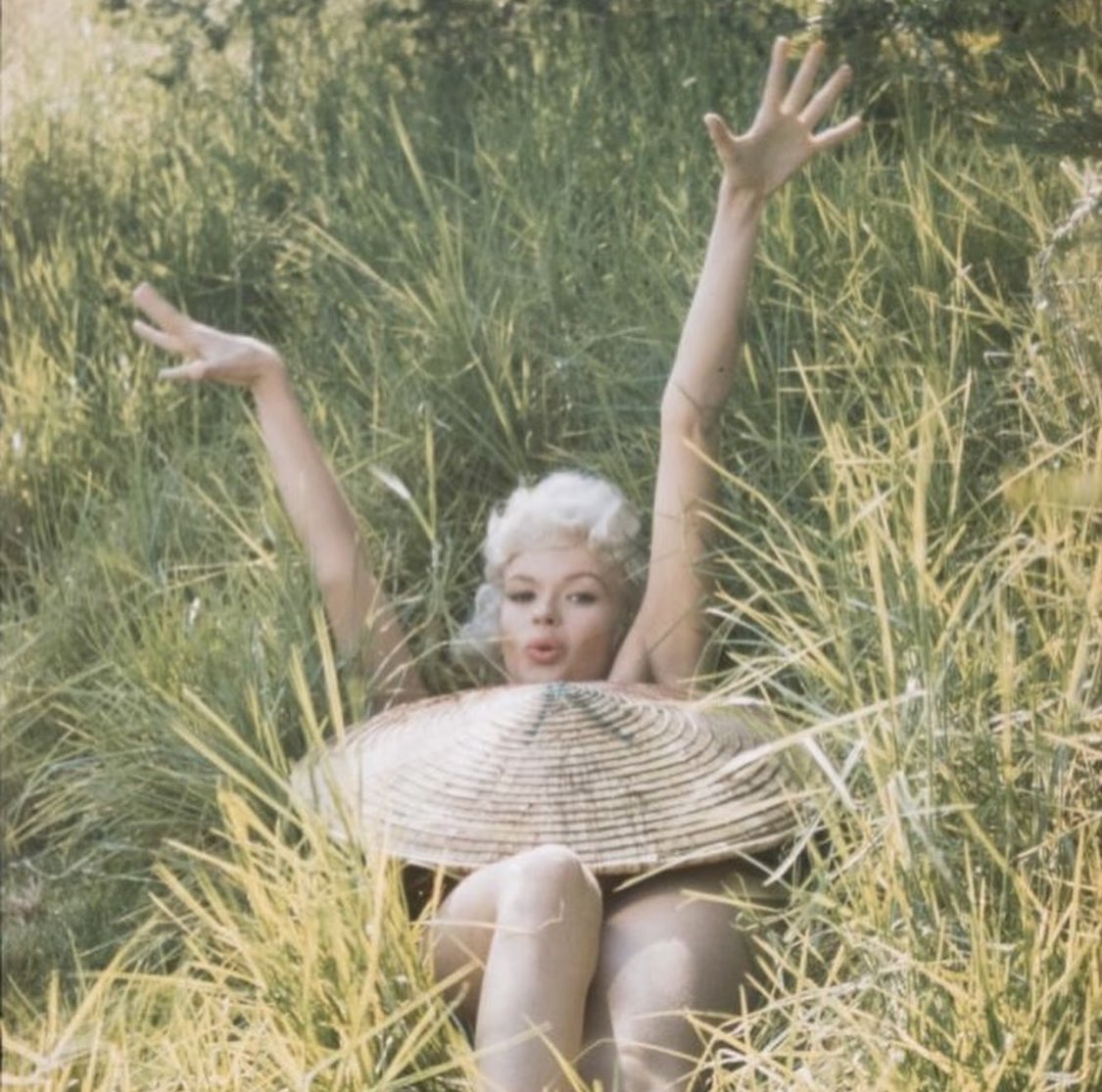 TheArtistKyla's tweet photo. ✨⛱➰☀️Beautiful, Bountiful Spring!!💞
Starring: Jayne Mansfield💗
#whimsy #spring #vintagebeauty #kylatheartist #JayneMansfield #art #pinup #bombshell #play #glamourfordays #thisisshowgirl https://t.co/jsaVJkTo7Z