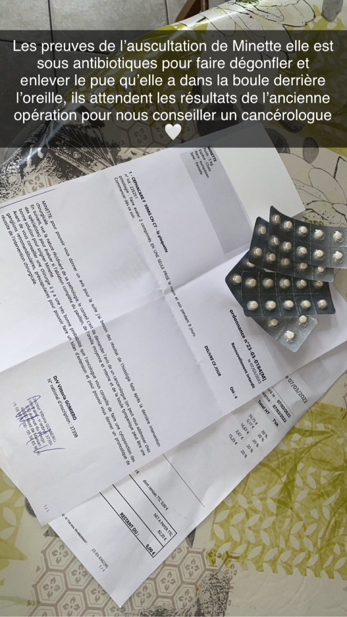 Layla El Amrani tweet media