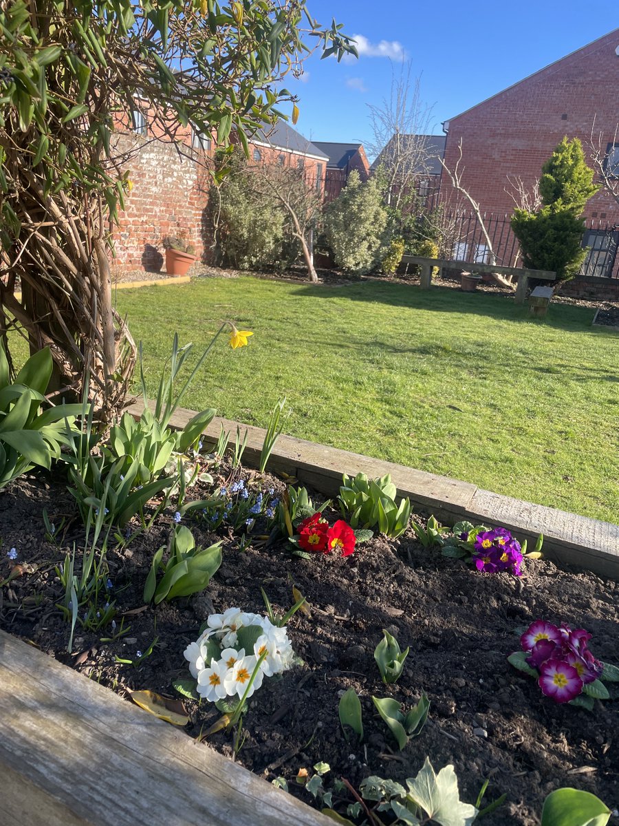 acombexplore's tweet image. At Acomb Explore we have a friend who loves our garden! Have you been out to see our garden recently? Our wonderful volunteer John has been planting some beautiful flowers. #ExploreTogether #LibraryFriends #LibraryCat #LibraryGarden