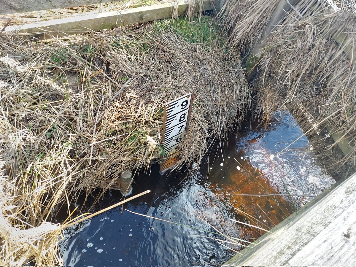 Dr Ian Pattison tweet media