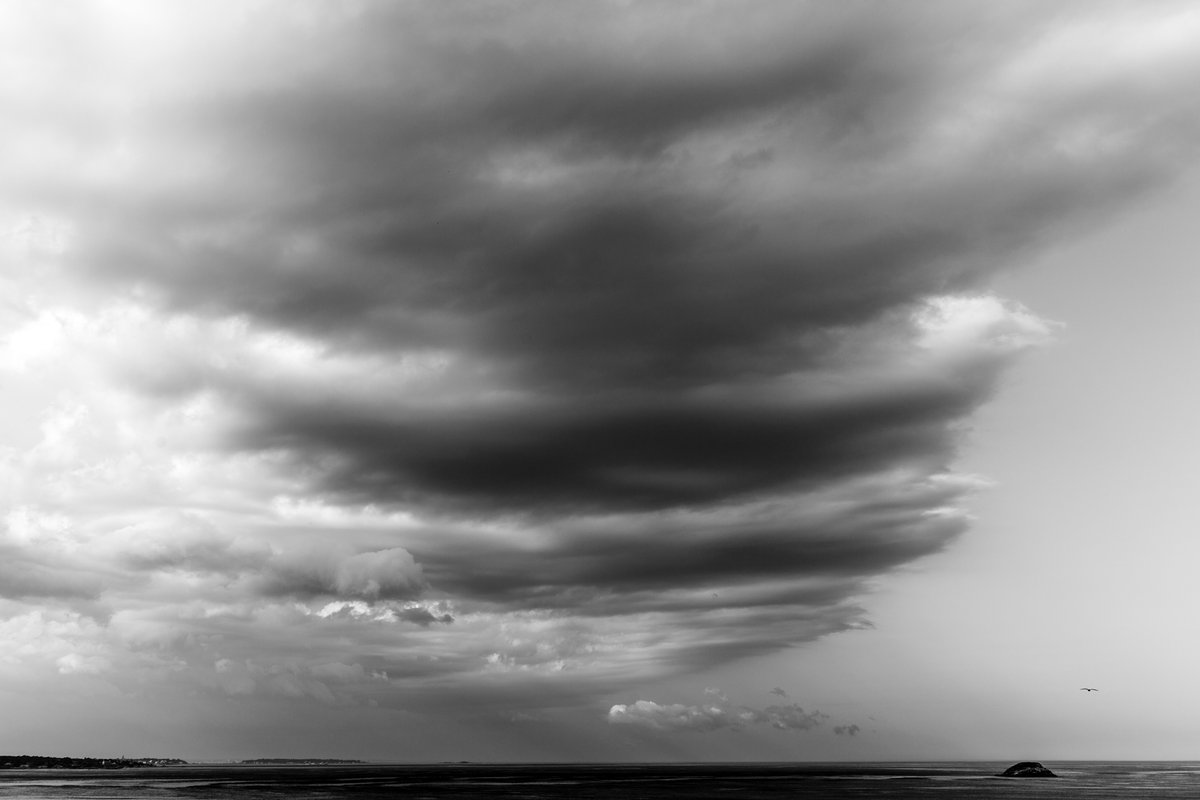 HalGregersen's tweet image. &quot;Derive happiness in oneself from a good day&apos;s work, from illuminating the fog that surrounds us.&quot; Henri Matisse ~ Making progress matters every day.  Helping others make progress is the most crucial managerial role that we can take on. #progressprinciple #leader @TeresaAmabile