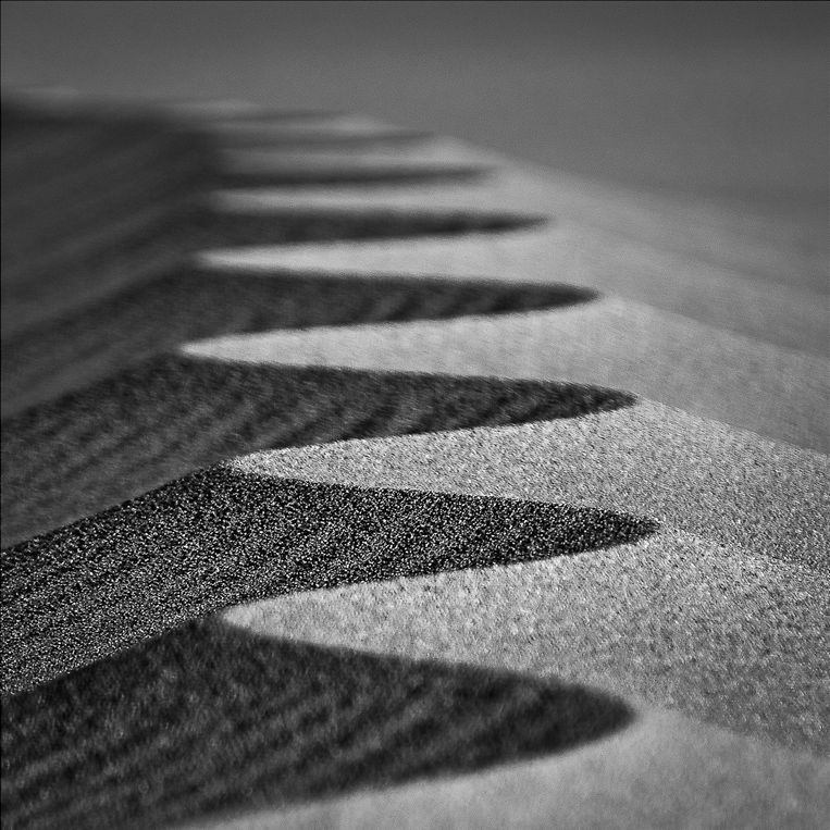 Nikbarte's tweet image. “Hi @sedimentology, I've discovered an unknown type of aeolian bedform. Check out this photograph done in the Sahara desert. Can you help me to classify and divulgate this new kind of "BARTE TARs"? @jsedimentology @DepositRecord @BasinResearch #sedimentology #sedimentologist #ias