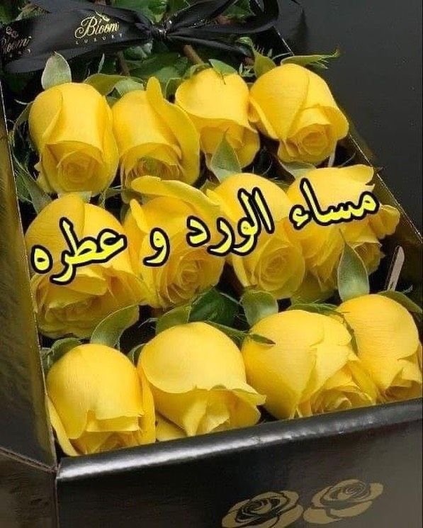 as_22234's tweet photo. - اليقيّن إن العُمر معگ ألطف من الورد ✨🌻..                                                                                     مساء الورد 💛🌼✨ https://t.co/B4ycnnRVNo