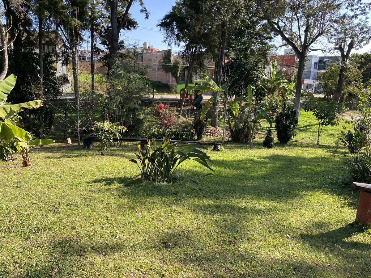 ¡ Buen día y feliz martes ! Día soleado y despejado por aquí