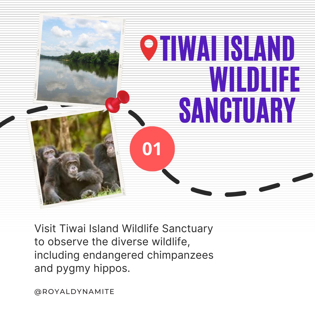 RoyalDynamite's tweet photo. Whether you're looking for an adventure or to relax, Sierra Leone is an ideal destination for any traveler.
Here are 3 things to do in Sierra Leone:

#Freetown #SierraLeond #beachlife #hiking #igtravel #instatraveling https://t.co/UTJm99IP05