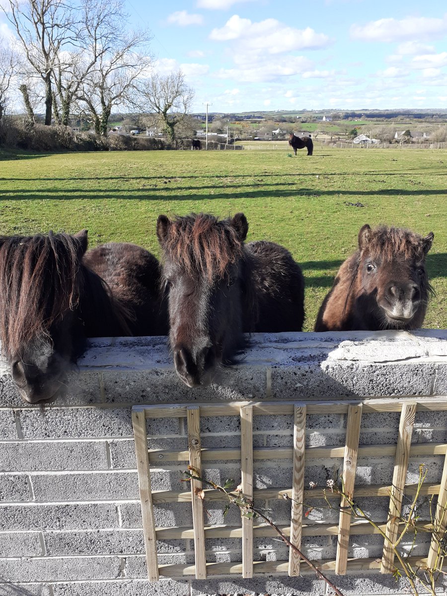 Lee Banfield tweet media