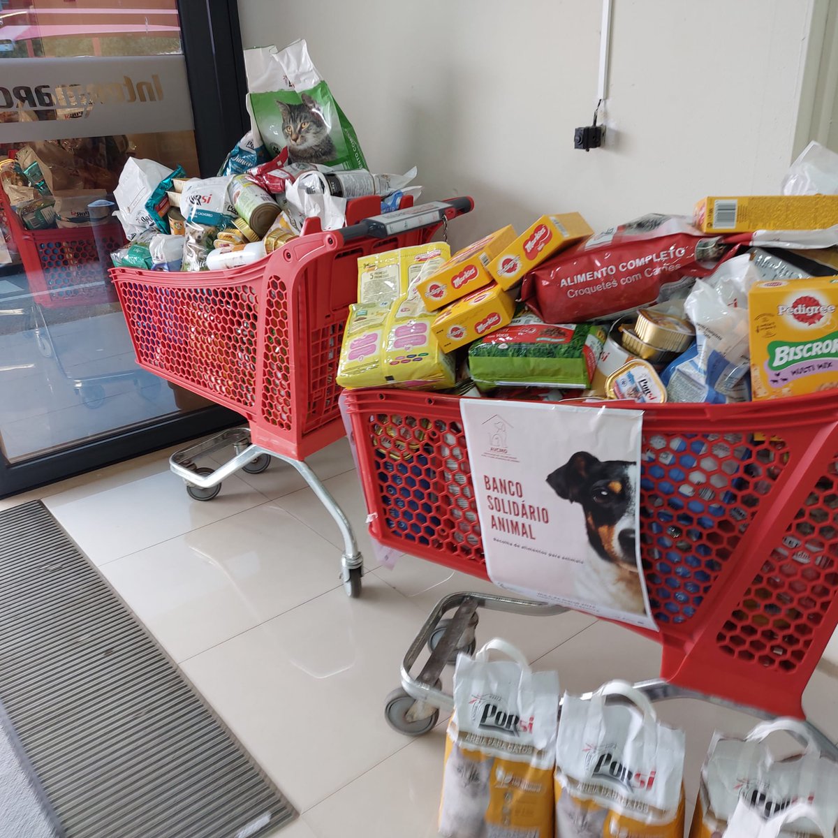 No passado sábado dia 4 de março, na semana em que o <a href="/intermarche/">Intermarché</a> realiza a feira do animal, a aluna Inês Silvestre fez uma recolha de alimentos para animais no âmbito do seu projeto de PAP.