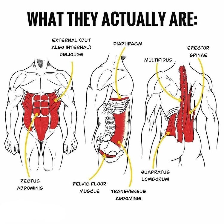 Home To Fit on Twitter "Want to relieve back pain? Don't just stick to