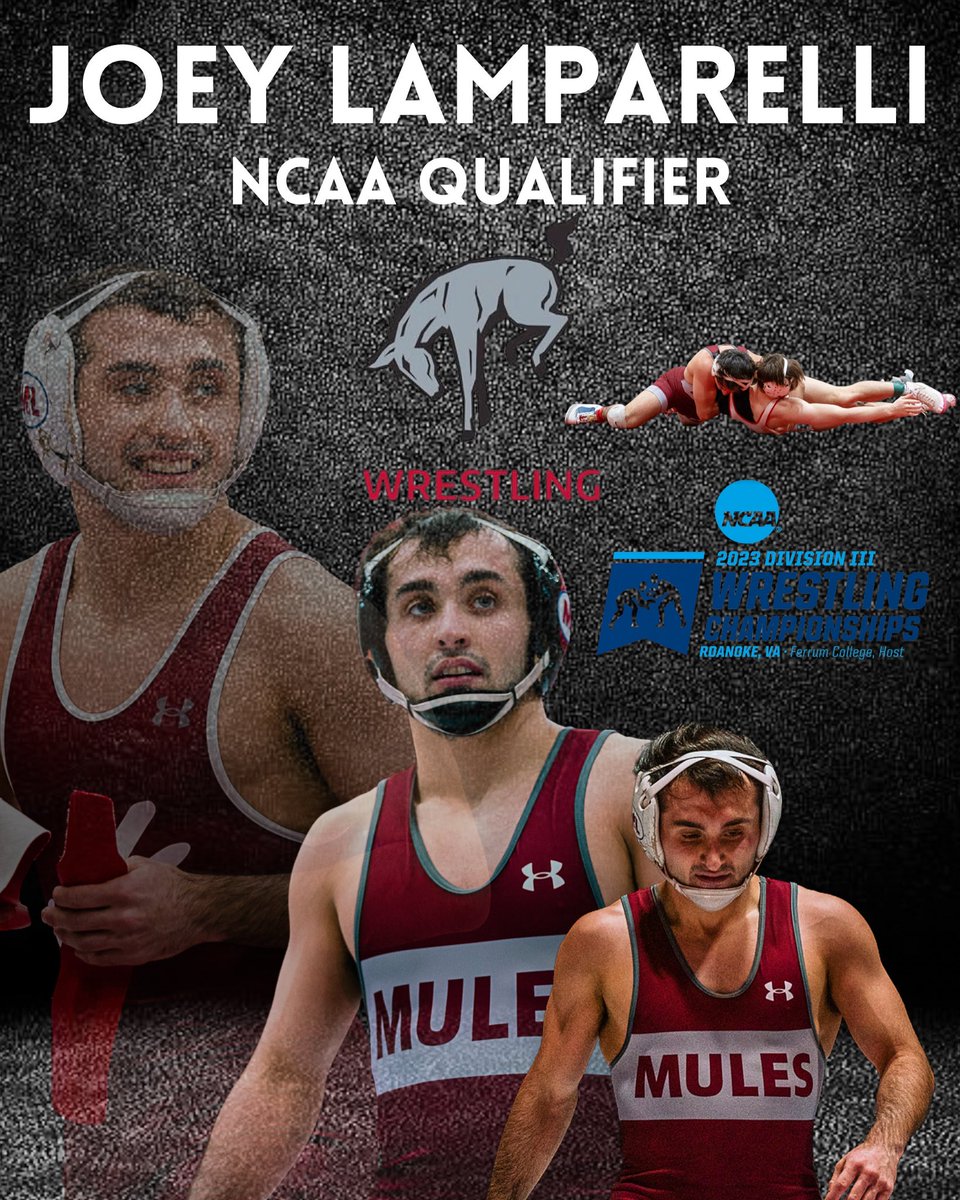 MulesWrestling's tweet photo. 3 days til the big one

Joey Lamparelli, Junior 
Weight: 125 
Hometown: Allentown, NJ
2X CC Placewinner (3rd, 1st) 
2X NCAA Qualifier
Career record: 60-16
Season record: 27-6
6 MD
5 Techs
6 Pins

Joey is a relentless offensive &amp; defensive wrestler who never stops looking to score https://t.co/KyGv50KSRP
