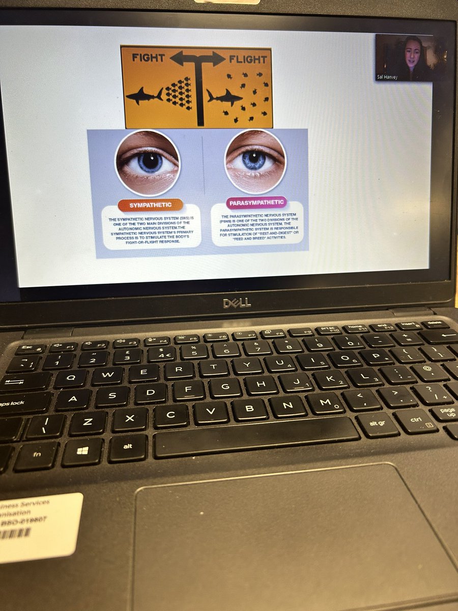 BethHBrown0's tweet photo. Learning about the nutrition and sleep connection with Sal Hanvey from Inspire. Why knew a banana before bed could help us sleep!!!! 🍌💤 thanks @BSO_NI for putting these on for us! #graduatemanagementtrainee2123 #healthandwellbeing #sleepeducation https://t.co/6ynB6wuAPr