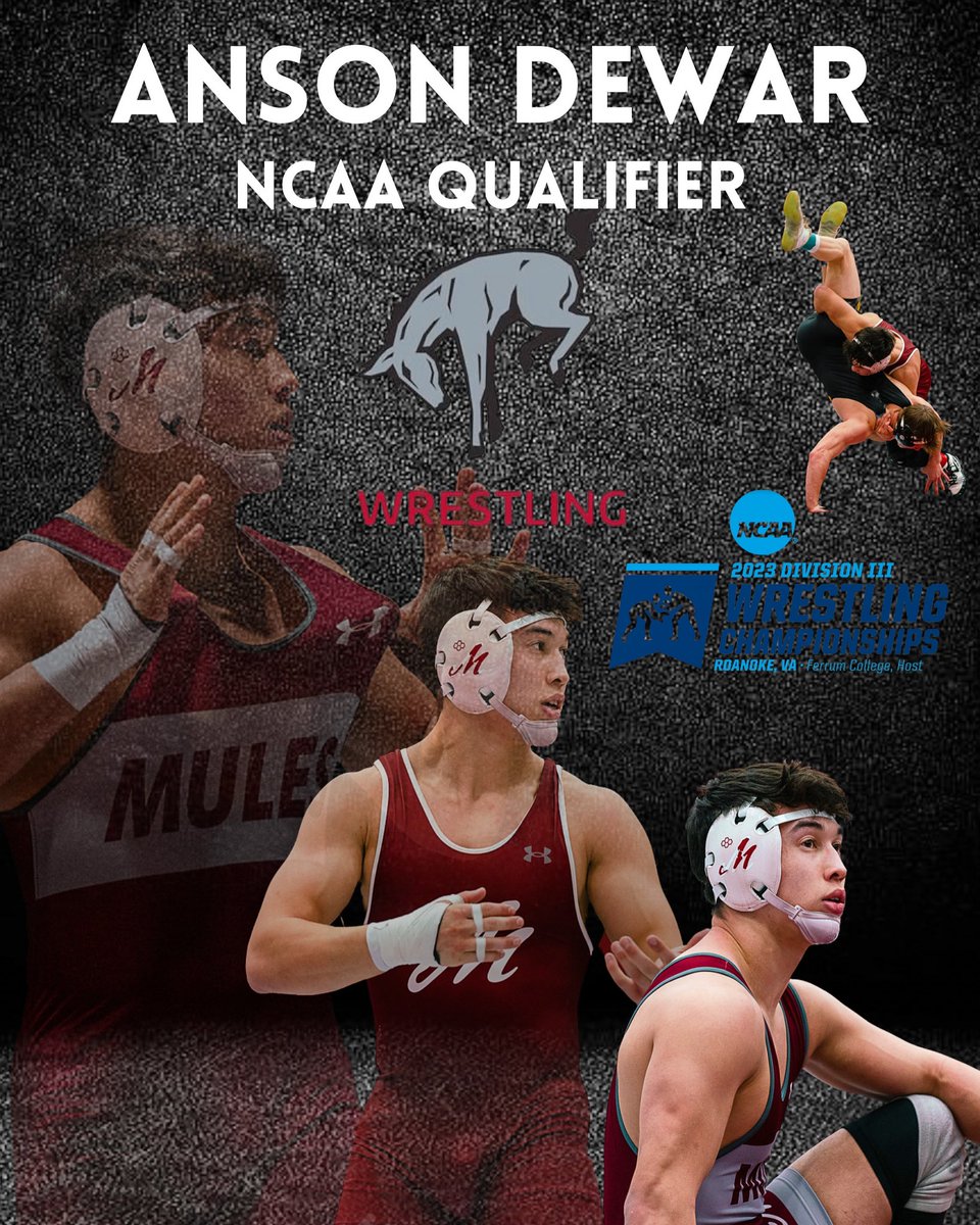 MulesWrestling's tweet photo. Anson Dewar, Sophomore
Weight: 174 
Hometown: Merrimack, NH
2X CC Placewinner (3rd, 1st) 
2X NCAA Qualifier
Career record: 58-13
Season record: 30-2
7 MD
1 Tech
10 Pins

Anson is a beast and relentlessly hard worker who continues to improve and is never satisfied with his results https://t.co/uDHeDVPIP4