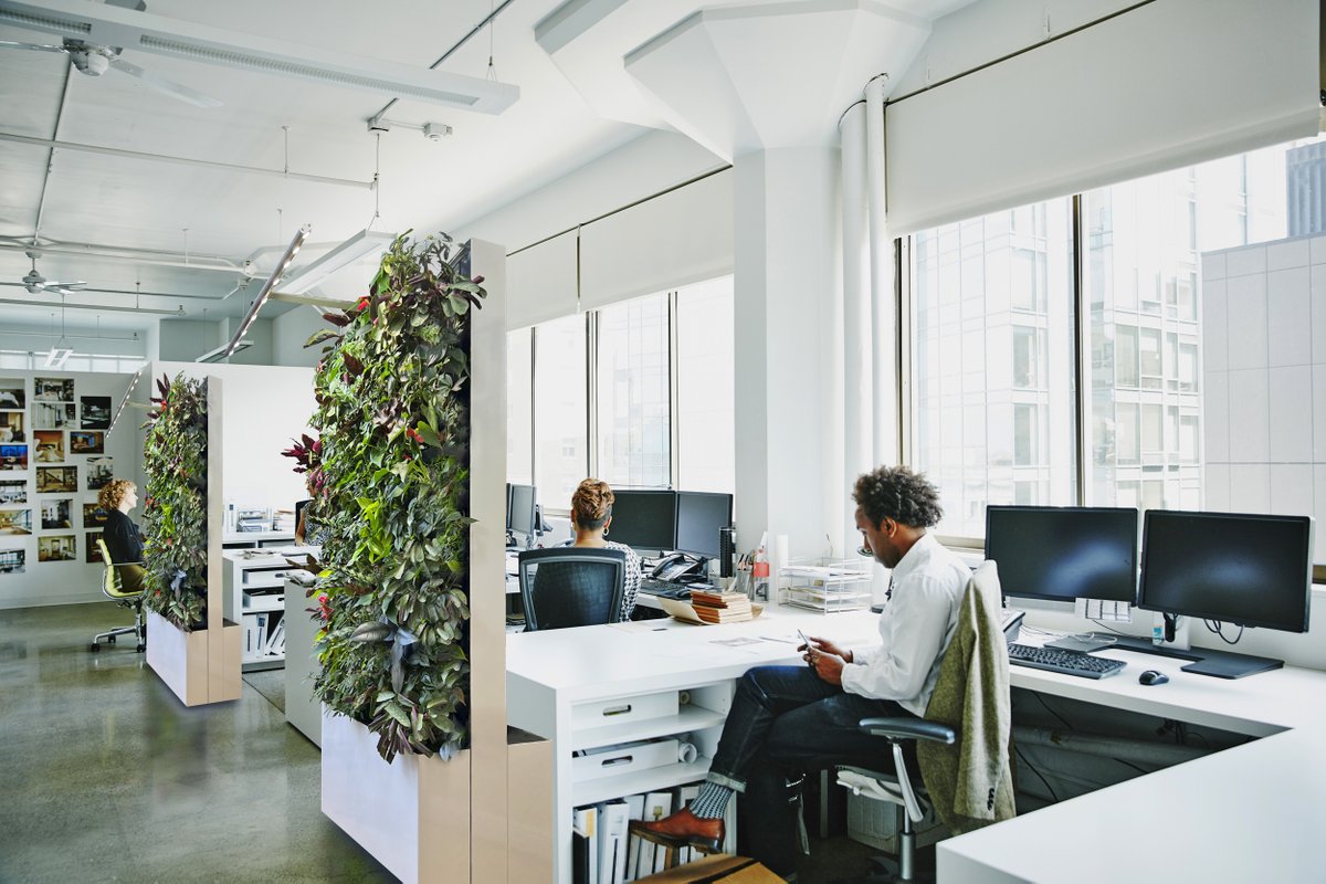 🌱 Mobile Plant Walls for flexible workspace The MOBILE Versa Wall® provides space planning flexibility while delivering the added health & wellness benefits of live plants. A welcome design addition in today’s employee focused office. #design #healths #productivity #greenwalls