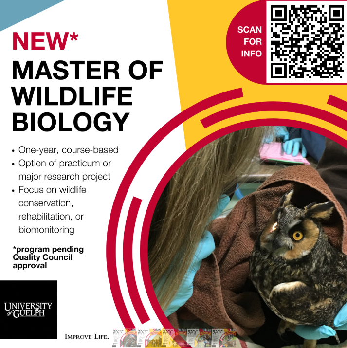 Dr Sho Jacobs 🇨🇦 tweet media