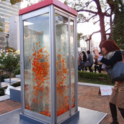 24/7Mirror tweet media