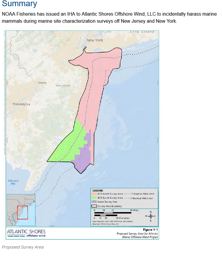 TimFeeney15's tweet photo. @brian4NY @NBCNewYork If surveying can't be a factor, why did NOAA issue IHA's? summer &amp; fall we had whales right off shore with a lot more vessel traffic recreational including. Surveying increased in Nov. whales starting dying in Dec. Maybe related? Maybe not? #pauseforthecause investigate #saveLBI https://t.co/7KZEzWR2ca