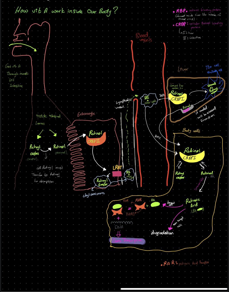لولا قدرتي على التلخيص ما كنت رح اتجاوز  الطب عموماً والبيوكم خصوصاً