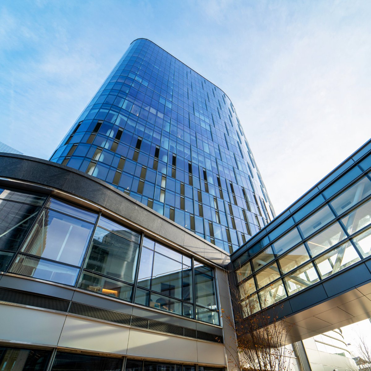 Capital One Block A is an excellent example of a repeat client leveraging the unique proximity of Enclos’ premier manufacturing capabilities in Chester, Virginia, to provide a uniform quality across the two tallest towers at their headquarters. Read more: enclos.com/project/capita…