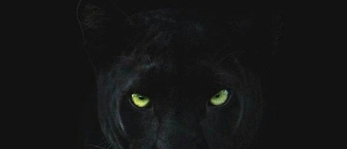 Hg12192's tweet image. 감탄을 아니할 수가 없다.

5 DAYS TO ROVER
DAYS OF ROVER IMAGES
#ROVER_TeaserImage3
#KAI_Rover