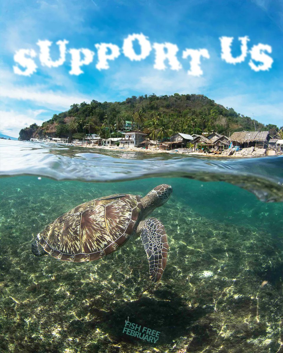 Fish_Free_Feb's tweet image. Thank you to everyone who joined the challenge this year!

Fish Free February is a grassroots charity established in 2020. If you would like to see the #FishFreeFebruary charity and campaign grow, please consider donating to help us achieve our goals.

buff.ly/3EXONdQ