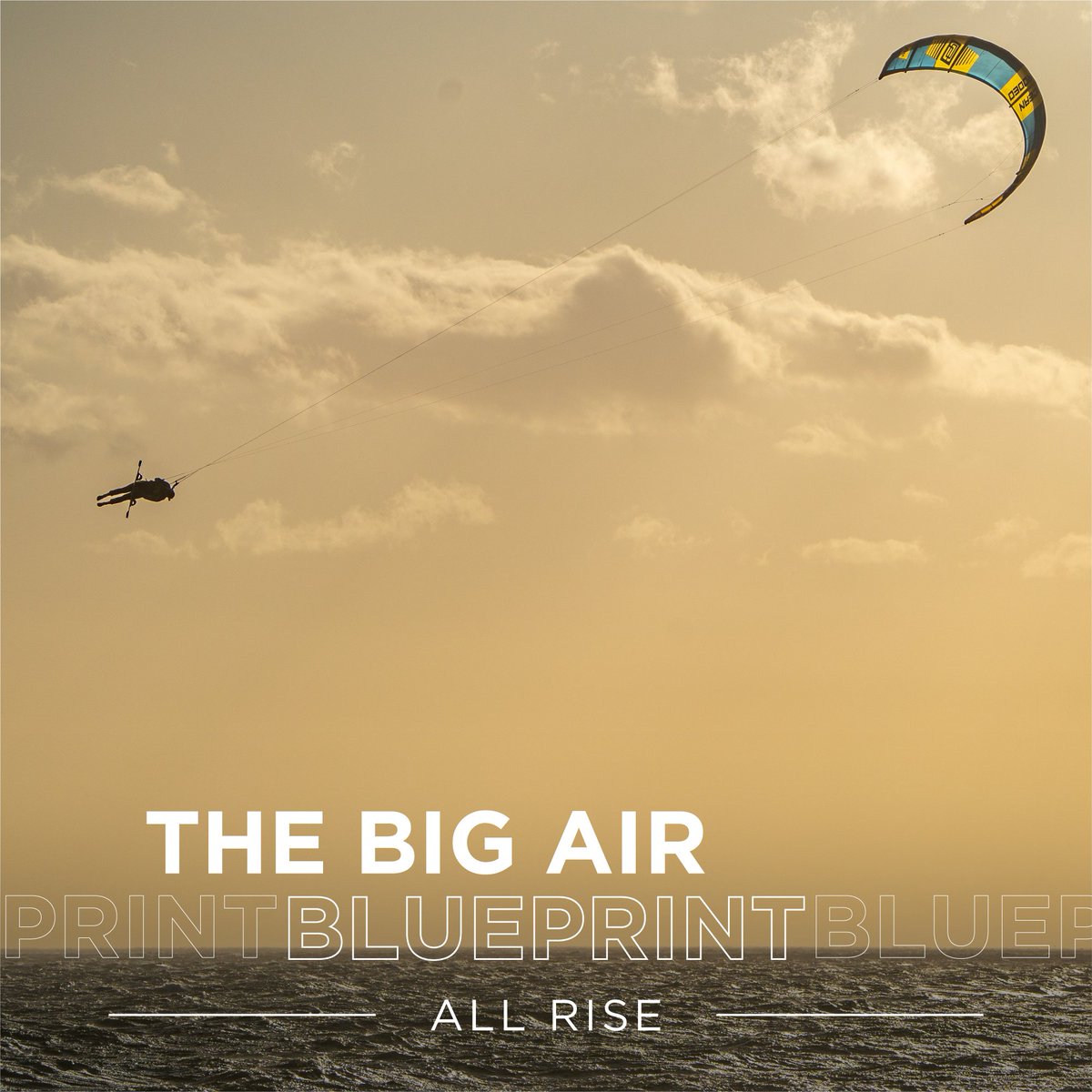 Ocean Rodeo tweet media