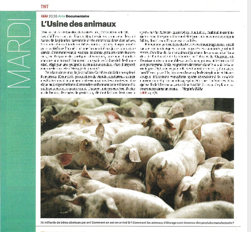 NovaProdTv's tweet photo. Super article et 3T dans @Telerama pour "l'Usine des animaux" de @CarolineduSaint, un film coproduit par @NovaProdTv et Wanted Story de @barbarahurel, on est très très fiers. Le doc est en ligne sur https://t.co/g5DFq9xGRx et à voir sur @ARTEfr le 14 mars à 20H55 ! https://t.co/k93Pz04UhE