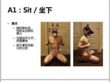 rrsmall7's tweet photo. 小狗就要有小狗的行为规范【第一部份】
#sm #男高中生 #男m女s #男m #女m #女s玩狗 #女S男M #女王s #龟头责 #寸止 #贞操锁 #cb锁 https://t.co/qrEfu8M8s2