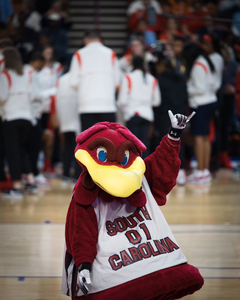 millerx321's tweet photo. @GamecockWBB go win the damn thing! @JustinKing @J_Reeves15 @dawnstaley https://t.co/viYkdKrcAQ