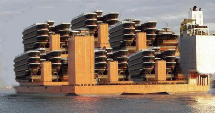 Anthony Shew tweet media