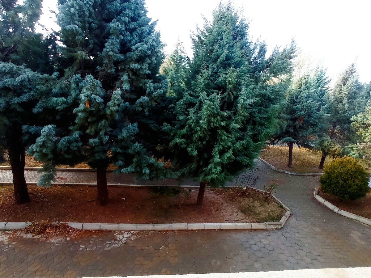 ne_nasiri's tweet photo. _فهمیدی داره باهار میاد؟ شنیدی میگن شفای نومیدی در لبان سرخ کسیست در دوردست؟
+ کدوم باهار؟ کدوم شفا دکتر؟
_جریان چیه؟ غمگینی یا خسته؟ 
+ مستاصل دکتر، مستاصل 
(از روز آخر دانشگاه_ آسایشگاه۹۸۱) https://t.co/ZQOHgPMEFj