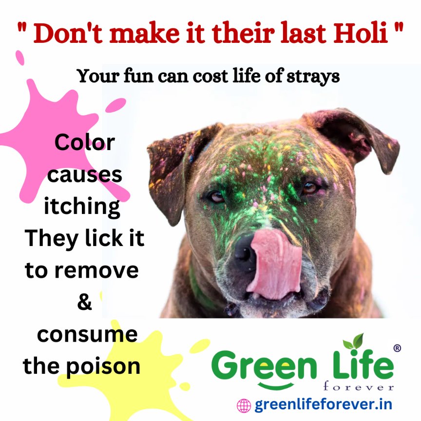 green_lyforever's tweet photo. "Spread love, not harm! This Holi, let's make sure we celebrate responsibly by avoiding playing Holi with strays and pets. Together, we can make this festival a happy and safe one for everyone. 🐾🌈🐶🐱🌸 #happyholi #petsafety #greenlifeforever
https://t.co/W3gyST8QVR https://t.co/OqRkQ1gisJ