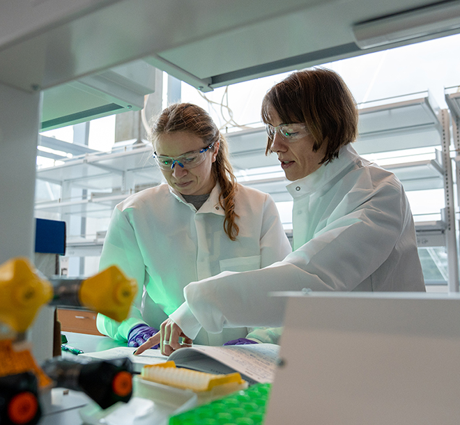 UOKnightCampus's tweet photo. Meet Danielle Benoit (@Benoit_Lab5) UO's first chair of bioengineering who calls herself “a quintessential engineer” who would spend rainy days as a child in her native Maine using duct tape, cardboard &amp; old encyclopedias to build racetracks for her cars https://t.co/hAUoOah1Vz https://t.co/ZTj5TofPsR