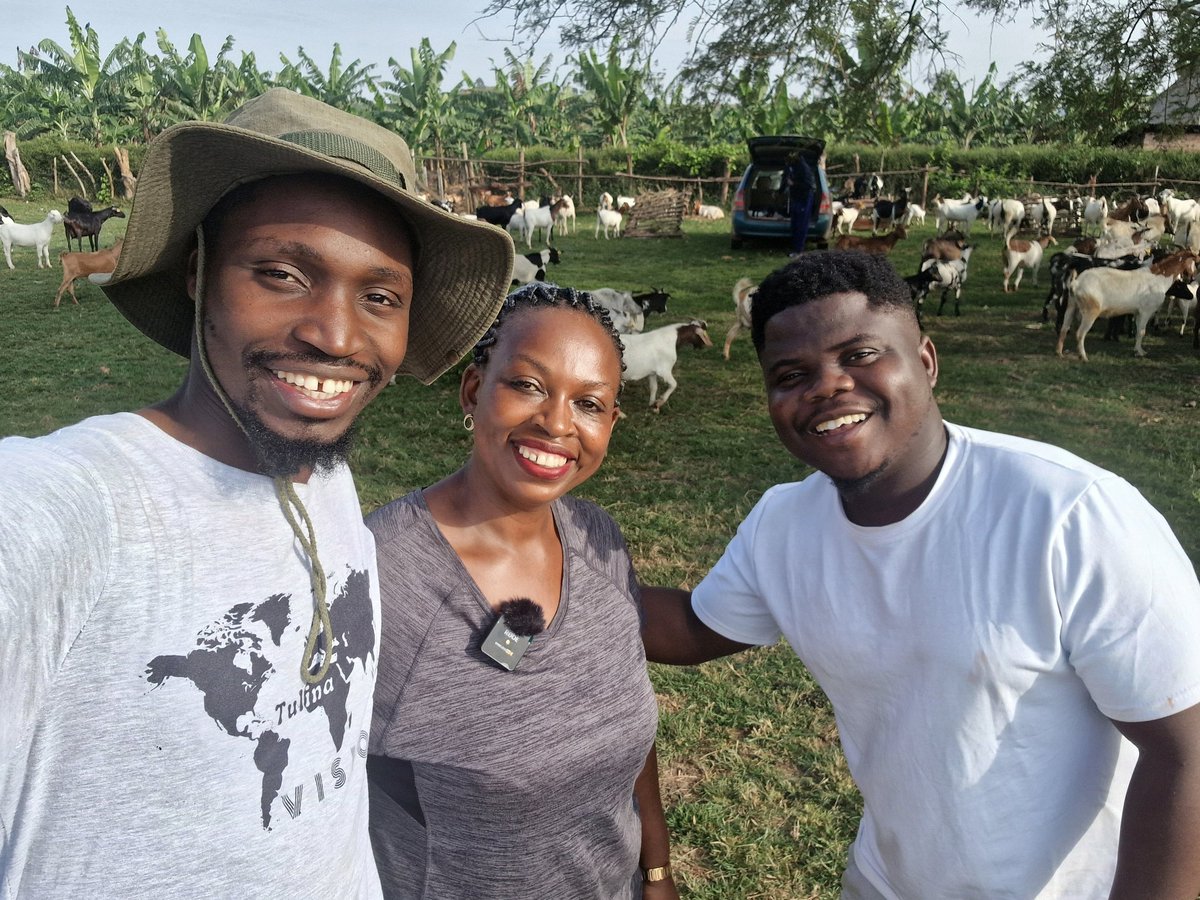 FarmUp8's tweet photo. Visiting @gbwogi the greatest goat Farmer in Uganda with @wode_maya.
Inspiring Africa! https://t.co/4Mvgk7kJgC