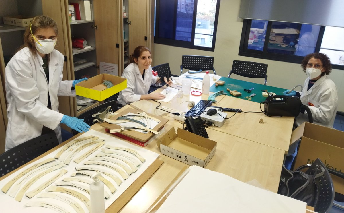 meteocat's tweet image. 📝A l’SMC tenim cura del patrimoni meteorològic: enguany les estudiants en pràctiques de l’@escrbcc Daniela Gurnari, @tcramells i Lara Romera, estan restaurant les bandes de l’heliògraf de l’Observatori del Turó de l’Home (1.706 m, Vallès Oriental) #RescatdeDades #DataRescue.