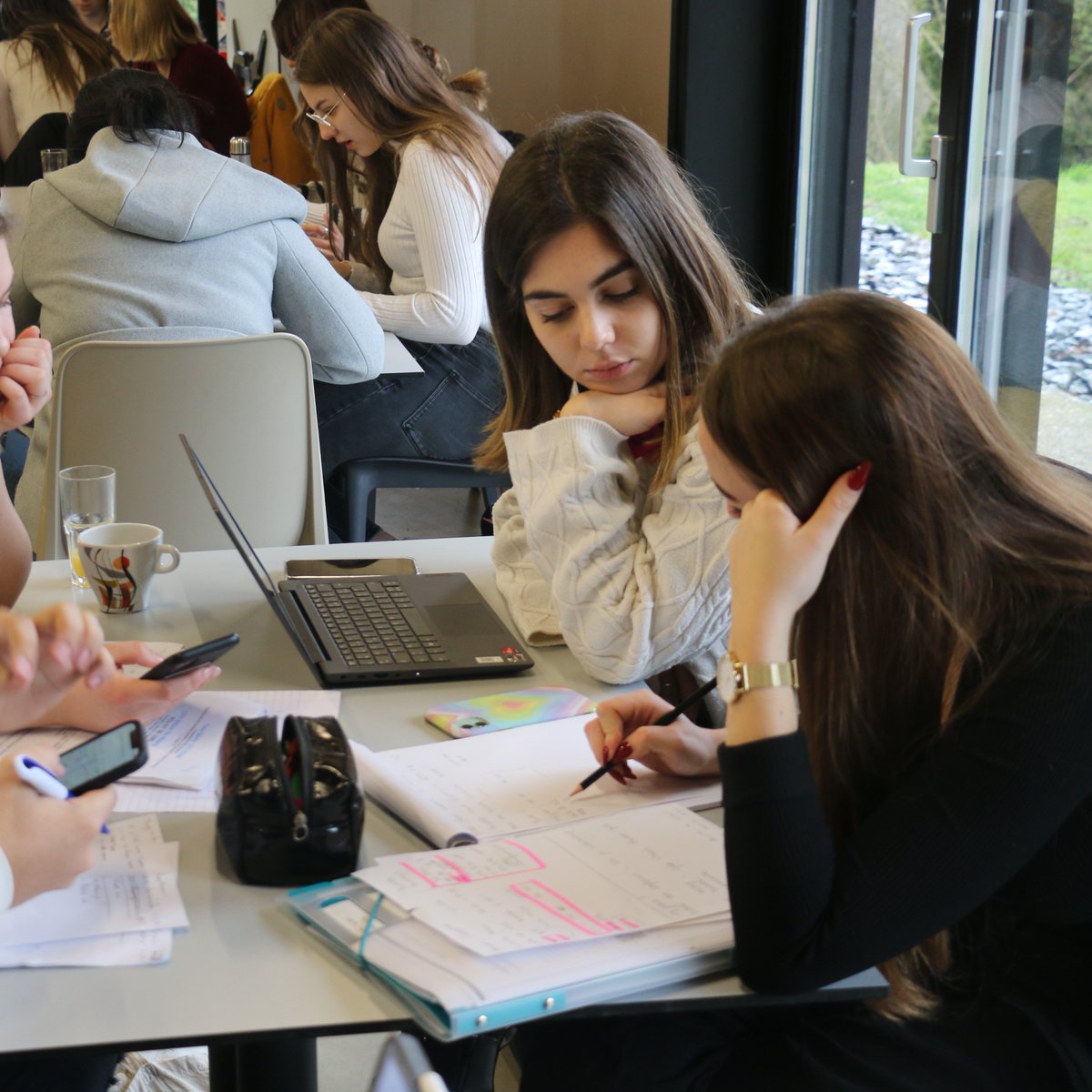 IUTdeLens's tweet image. 🌎 SEMAINE INTERNATIONALE : Day 2. Jour 2. 🌎

Au programme de ce deuxième jour, une journée de travail (mais pas que) au @Parc_Olhain pour le projet BIP Tourism 🟡🟣 et le projet CHIBA 🟡.