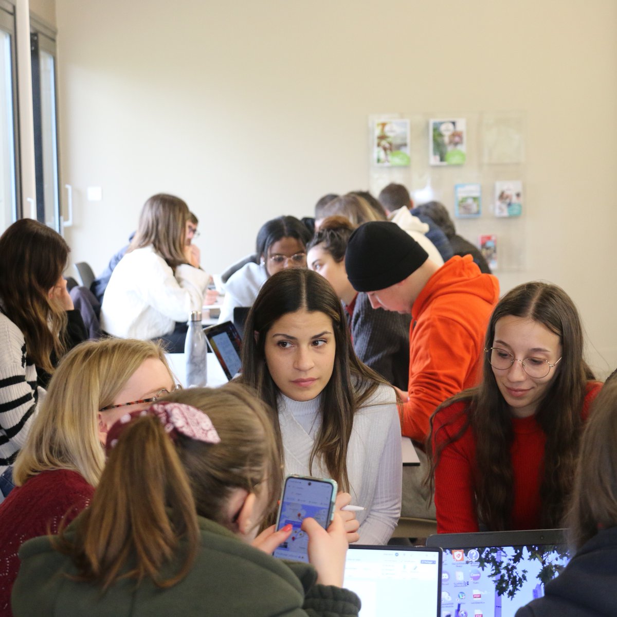 IUTdeLens's tweet image. 🌎 SEMAINE INTERNATIONALE : Day 2. Jour 2. 🌎

Au programme de ce deuxième jour, une journée de travail (mais pas que) au @Parc_Olhain pour le projet BIP Tourism 🟡🟣 et le projet CHIBA 🟡.