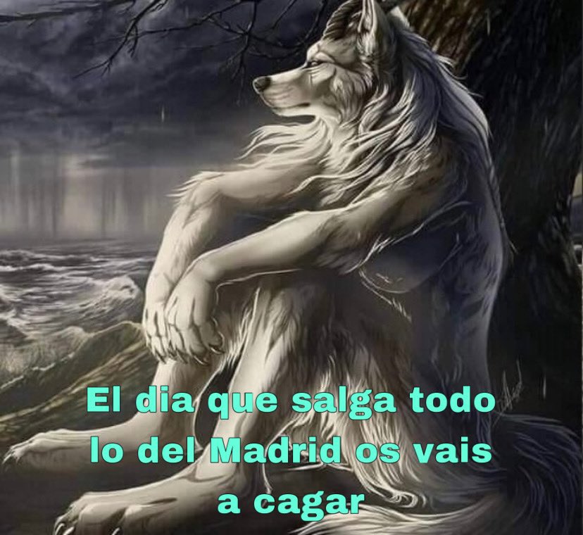 La Fiscalía denunciará al FC Barcelona por corrupción continuada por los pagos a Negreira 

El culé mas inteligente: