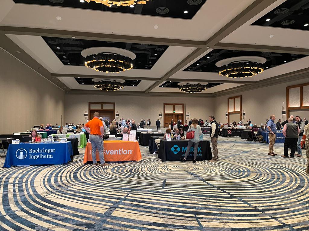 MAGAPORSL's tweet photo. The 54th annual meeting of the American Association of Swine Veterinarians (@AASwineVets) was held March 4-7. 🐷🇺🇸
This edition took place in Colorado and Magapor was there with @MbSwine
Thank you all for visiting us! ✨
#ASSV #AASV2023 #swinereproduction https://t.co/WBj2s9KLfv