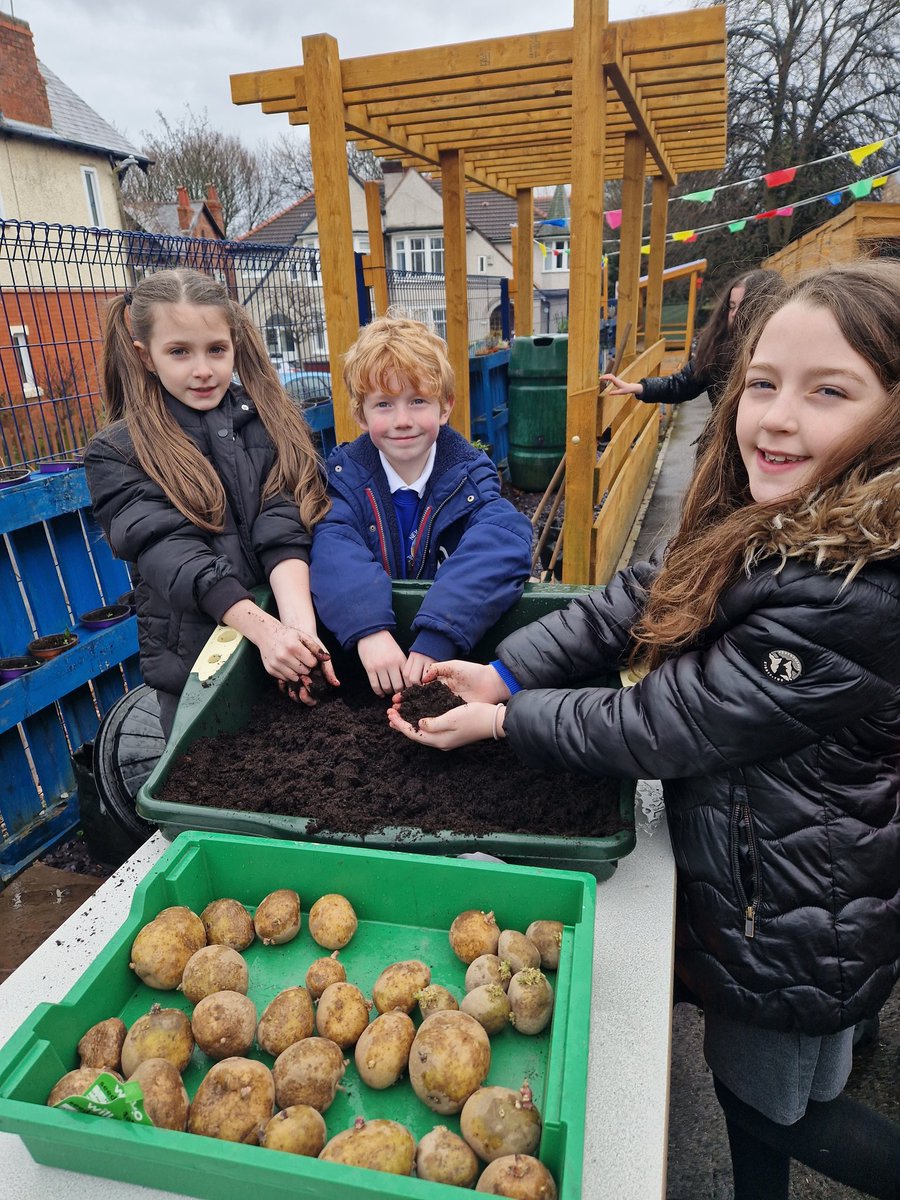 NewBrightonPS's tweet photo. Year 3 have had lots of fun planting their potatoes today. We can’t wait to watch them grow over the next few weeks 🥔 🌱 ☀️ 💦  

#nbpsGarden #nbpsGardening #schoolgarden #nbpsLOtC  #nbpsOutdoorLearning #nbpsCornerstones #nbpsYear3 #nbpsEnrichments #potatoes #nbpsPotatoPlant https://t.co/hMTXxkFDvv
