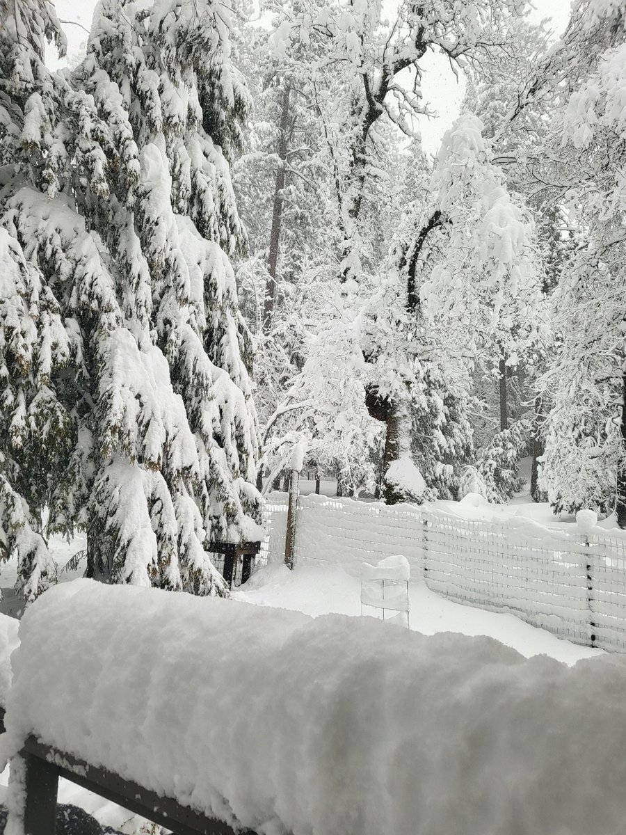 Bookwise's tweet image. @Bookwise