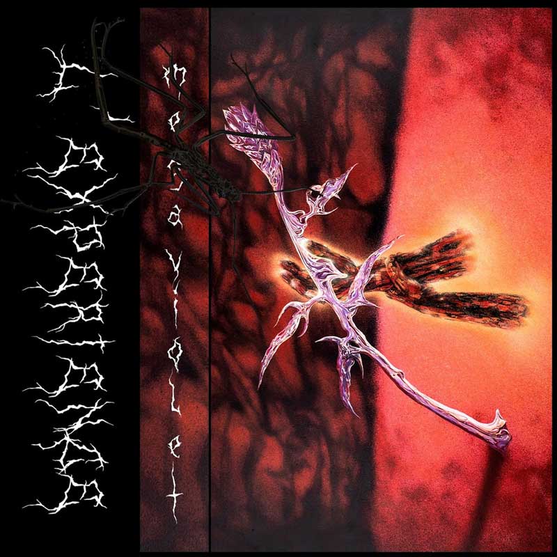 [Chronique] - Megaviolet / L’Expérience (Grande Rousse Disques)

sunburnsout.com/megaviolet-l-e…

<a href="/Granderoussedix/">Grande Rousse disques</a>