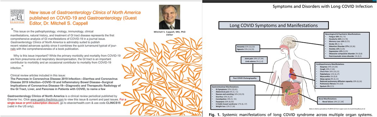 Check out @Gastro_Clinics new COVID-19 issue led by Mitchell Cappell. Our 🌟 fellow Anam Rizvi did a great job on the long COVID chapter! @HofNorthwellDOM @NorthwellHealth #LongCovid